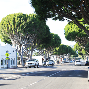 Milpas Street in Santa Barbara